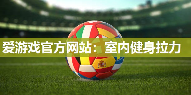 室内健身拉力