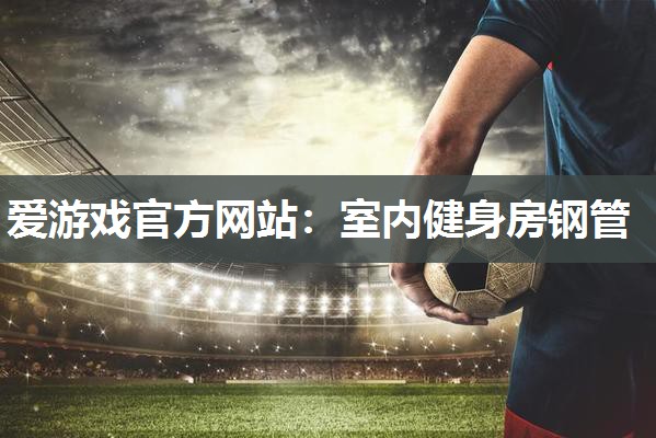 室内健身房钢管