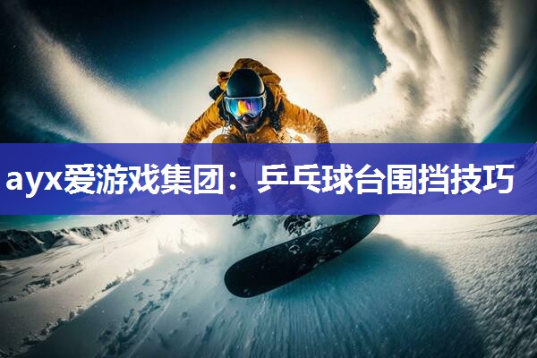 乒乓球台围挡技巧