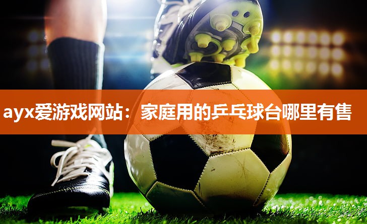 家庭用的乒乓球台哪里有售