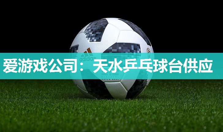 天水乒乓球台供应