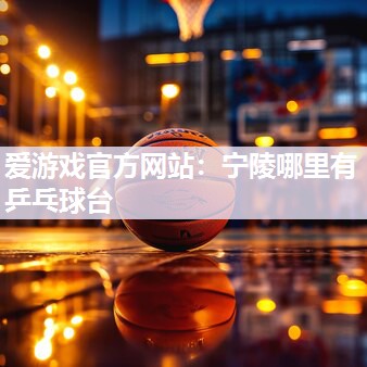 宁陵哪里有乒乓球台