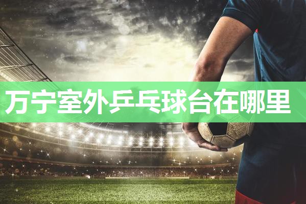 万宁室外乒乓球台在哪里