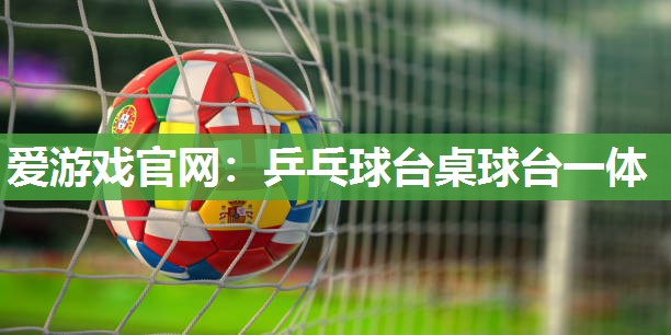 乒乓球台桌球台一体