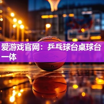 乒乓球台桌球台一体