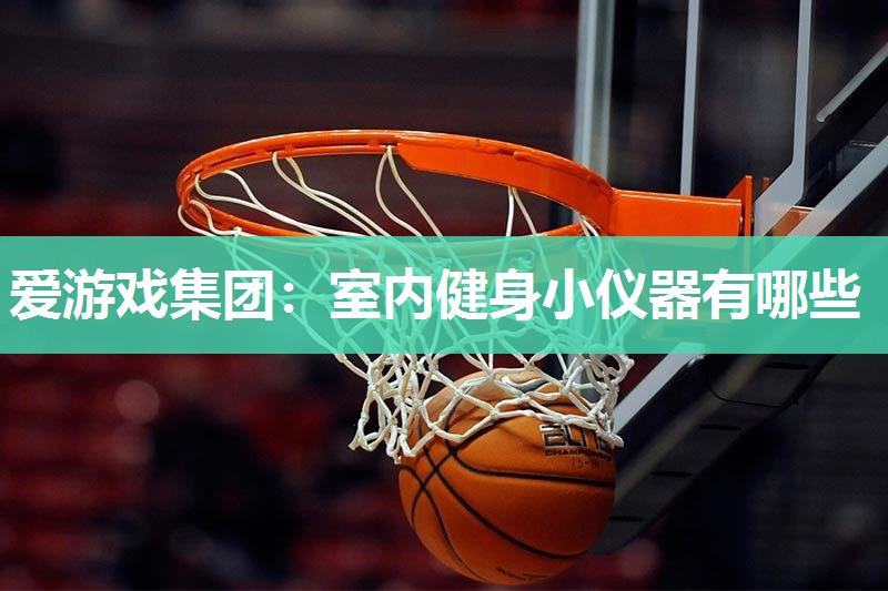 室内健身小仪器有哪些