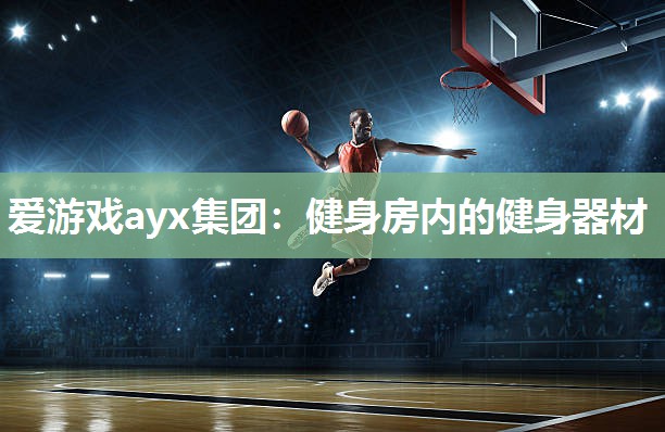 健身房内的健身器材
