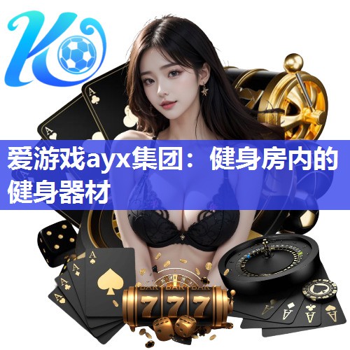 健身房内的健身器材