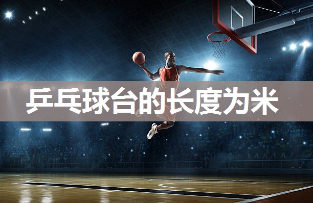 乒乓球台的长度为米