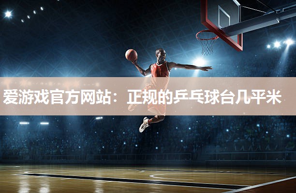 正规的乒乓球台几平米