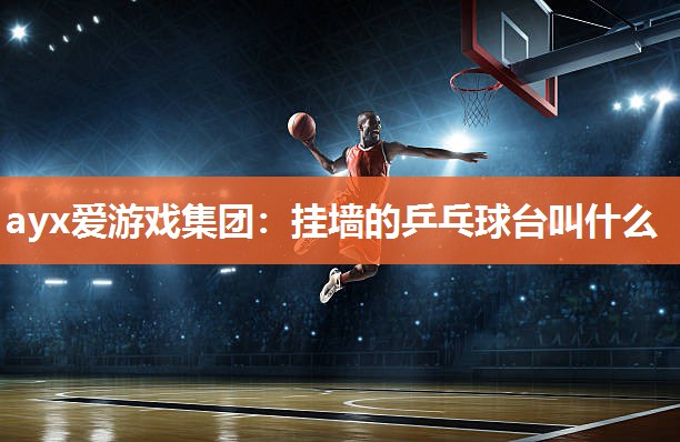挂墙的乒乓球台叫什么