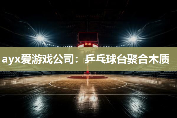 乒乓球台聚合木质