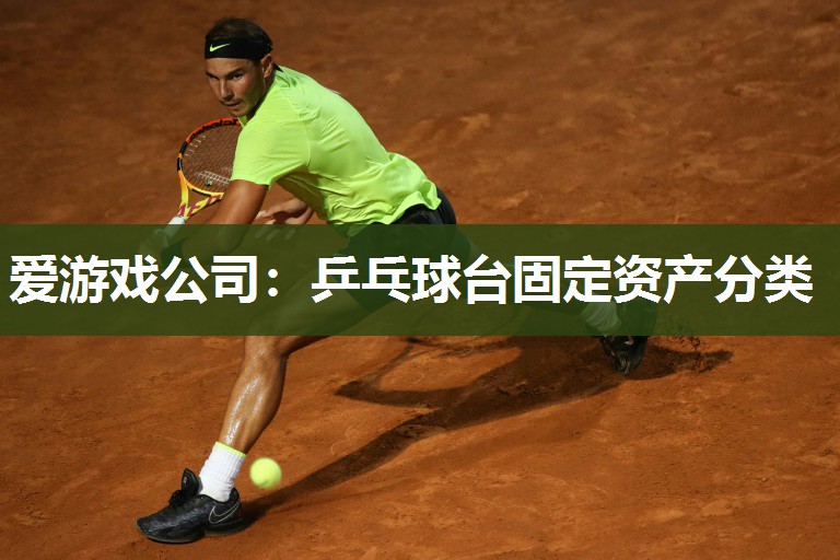 乒乓球台固定资产分类