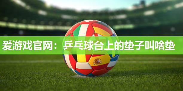 乒乓球台上的垫子叫啥垫