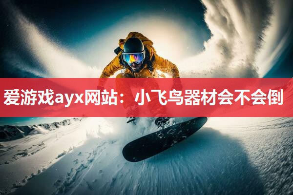 小飞鸟器材会不会倒