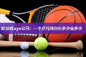 一个乒乓球台长多少宽多少