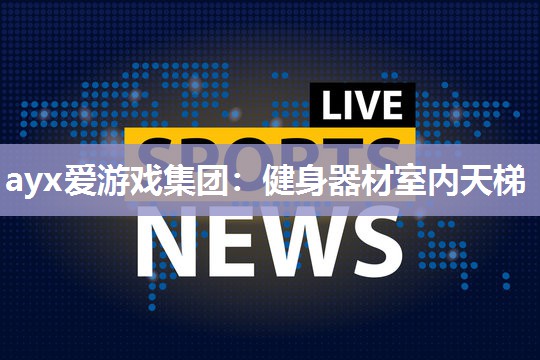 健身器材室内天梯