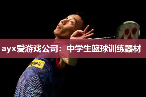 中学生篮球训练器材