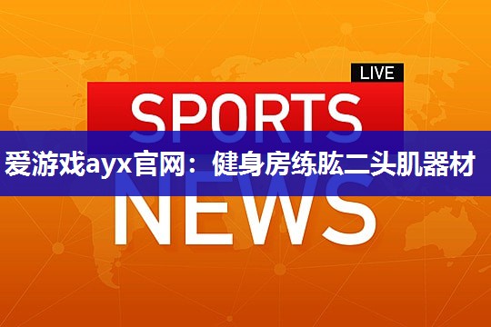 健身房练肱二头肌器材
