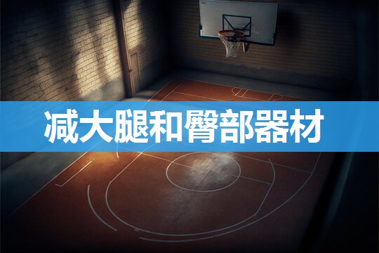 减大腿和臀部器材
