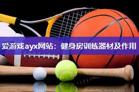 健身房训练器材及作用