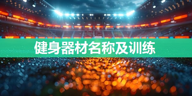 健身器材名称及训练