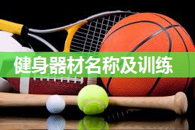 健身器材名称及训练