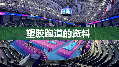 塑胶跑道的资料
