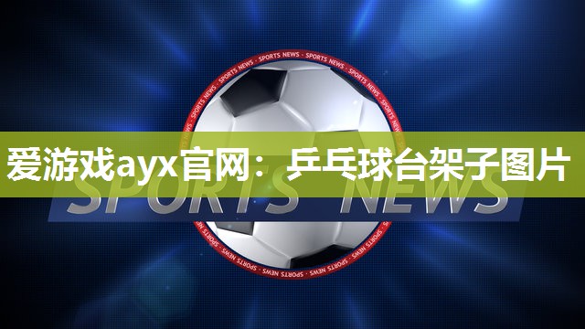 乒乓球台架子图片