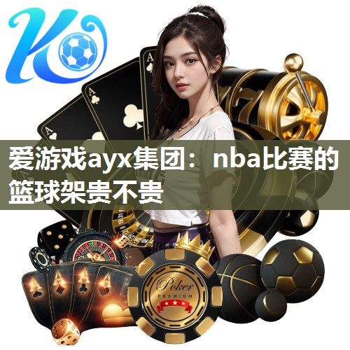 nba比赛的篮球架贵不贵