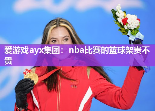 nba比赛的篮球架贵不贵
