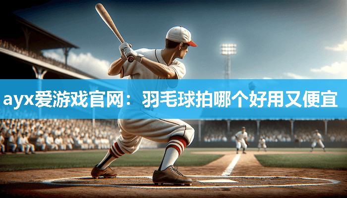 羽毛球拍哪个好用又便宜