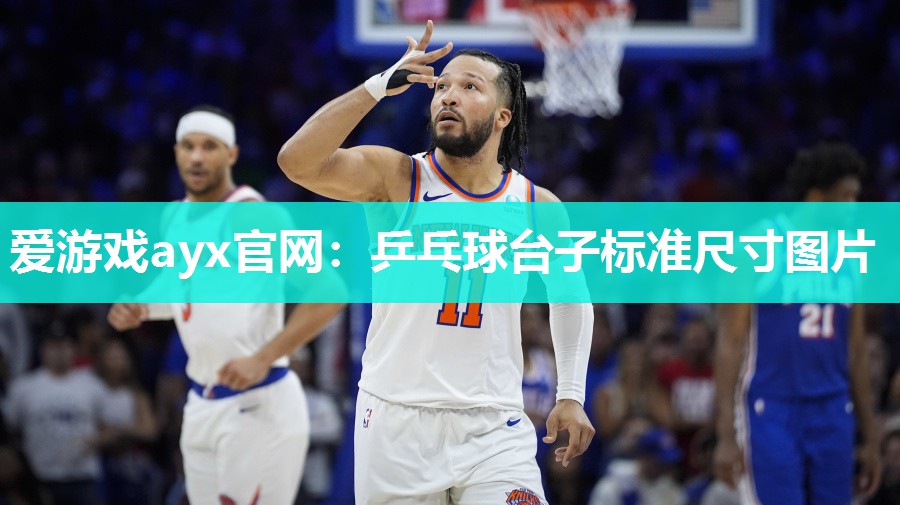 乒乓球台子标准尺寸图片