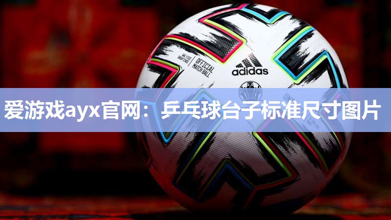 乒乓球台子标准尺寸图片