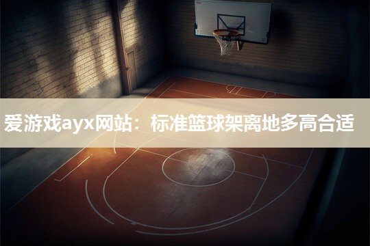 标准篮球架离地多高合适