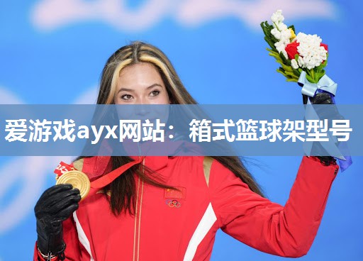 箱式篮球架型号