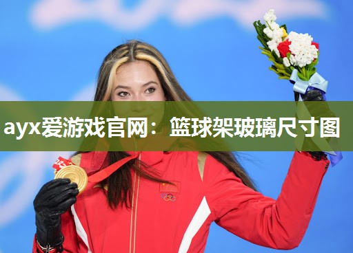 篮球架玻璃尺寸图