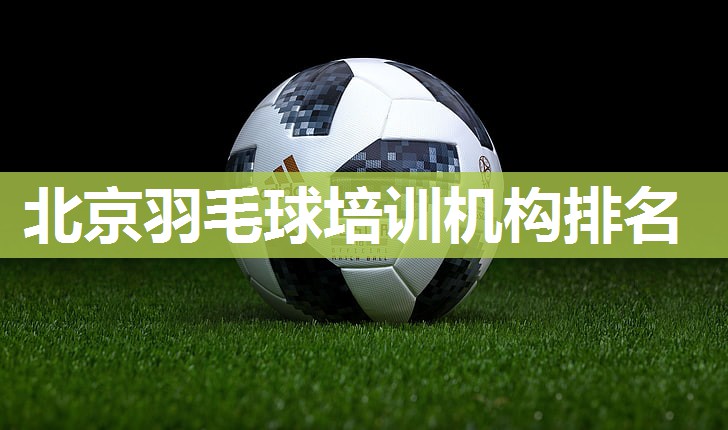 北京羽毛球培训机构排名