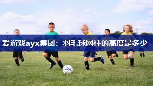 羽毛球网柱的高度是多少