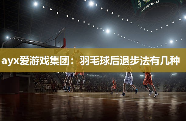 羽毛球后退步法有几种