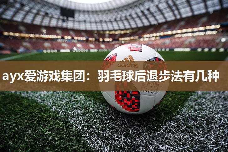 羽毛球后退步法有几种