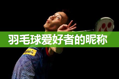 羽毛球爱好者的昵称