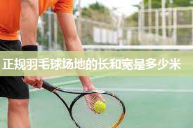 正规羽毛球场地的长和宽是多少米