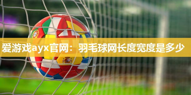 羽毛球网长度宽度是多少