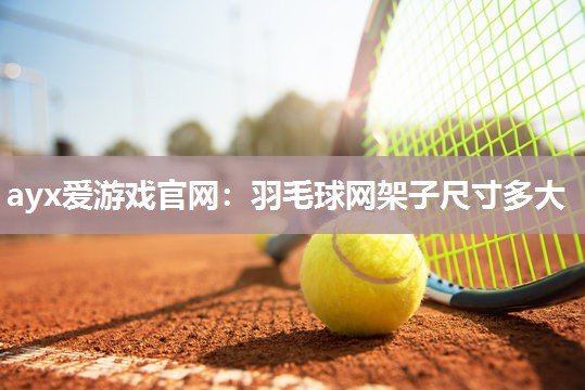 羽毛球网架子尺寸多大