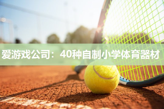 40种自制小学体育器材