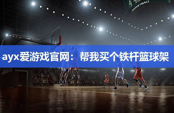 帮我买个铁杆篮球架