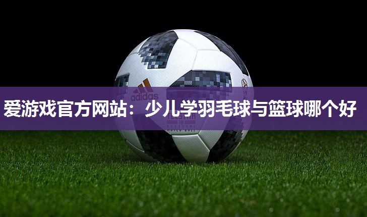 少儿学羽毛球与篮球哪个好