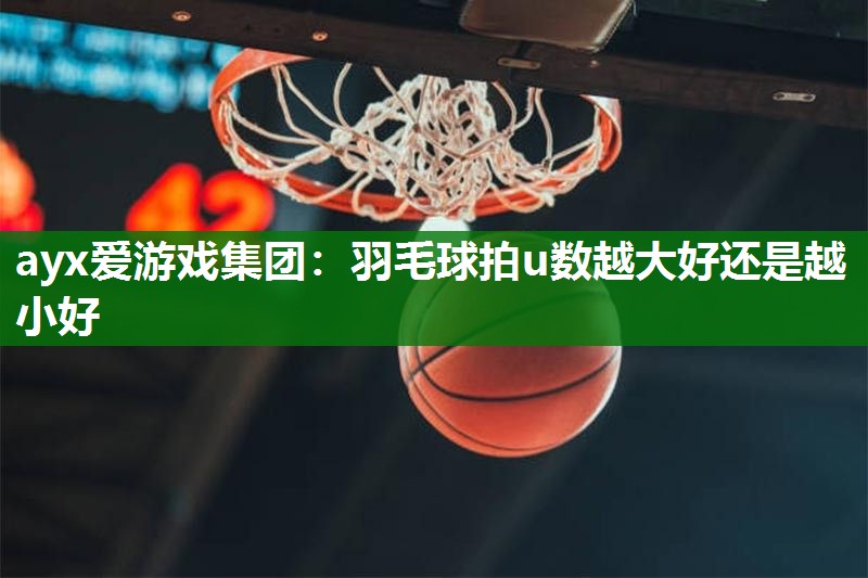 羽毛球拍u数越大好还是越小好