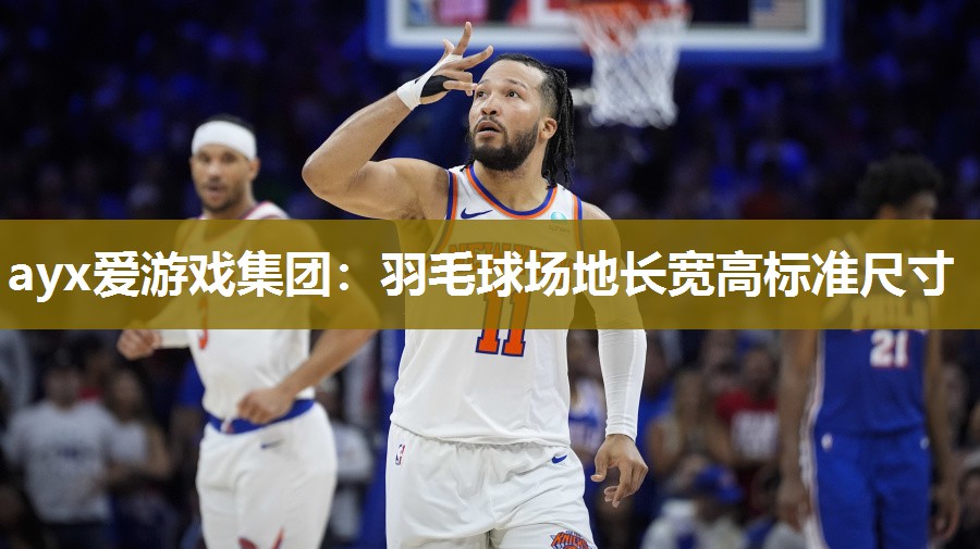 羽毛球场地长宽高标准尺寸